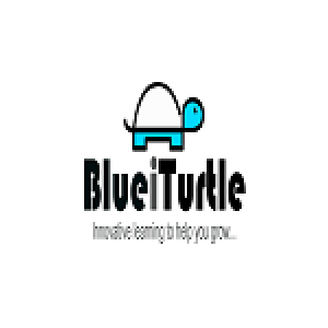 Blueiturtle