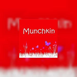 munchkinkids