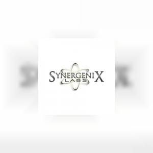 Synergenixlabs