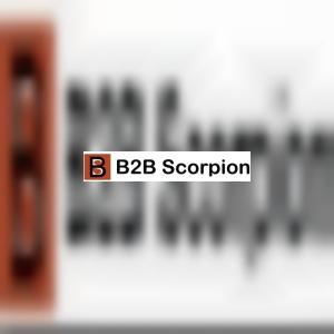 b2bscorpion