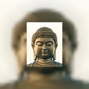 buddha108