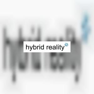 hybridreality
