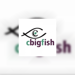 cbigfishesolution