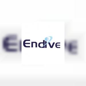 EndiveSoftware