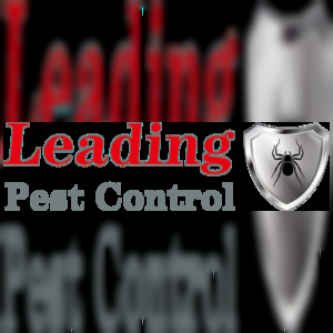 leadingpestcontrol