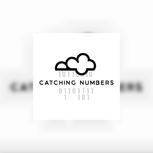 catchingnumbers