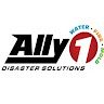 Ally1disaster