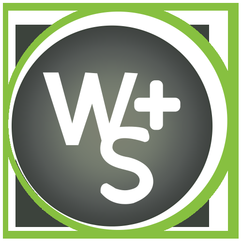webstrategyplus1