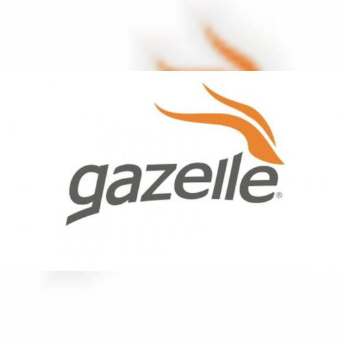 gazellereviews