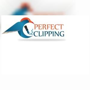 perfectclipping