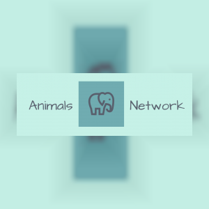 animalsnetwork