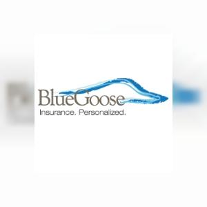 bluegoosemaine