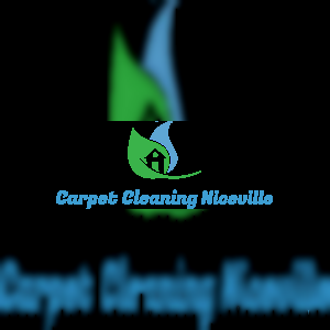 carpetcleaningniceville