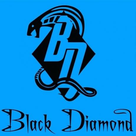 blackdiamondbilliards