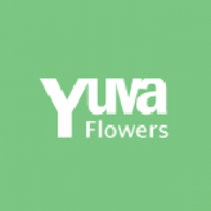 yuvaflower