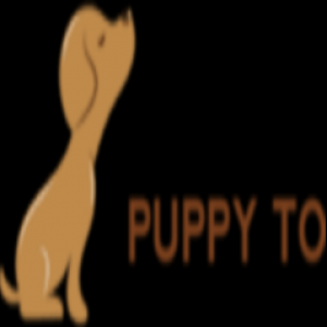 puppy2dogschool