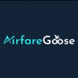Airfaregoose