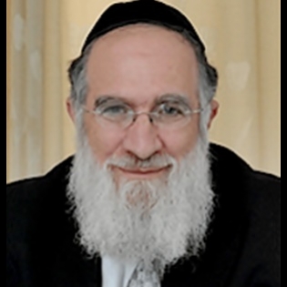 rabbidavidweinberger