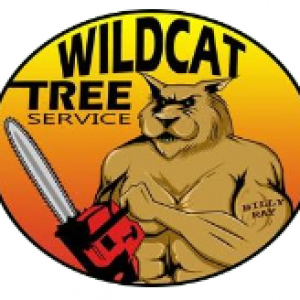 treeservicewildcat