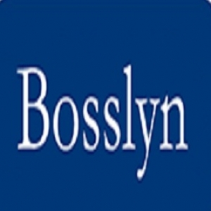 bosslyn2