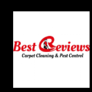 bestreviewscleaning