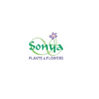 sonyaflowers