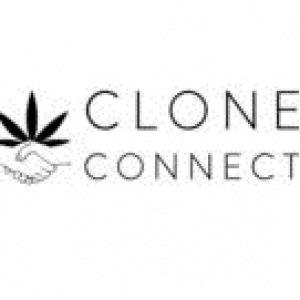 cloneconnectca